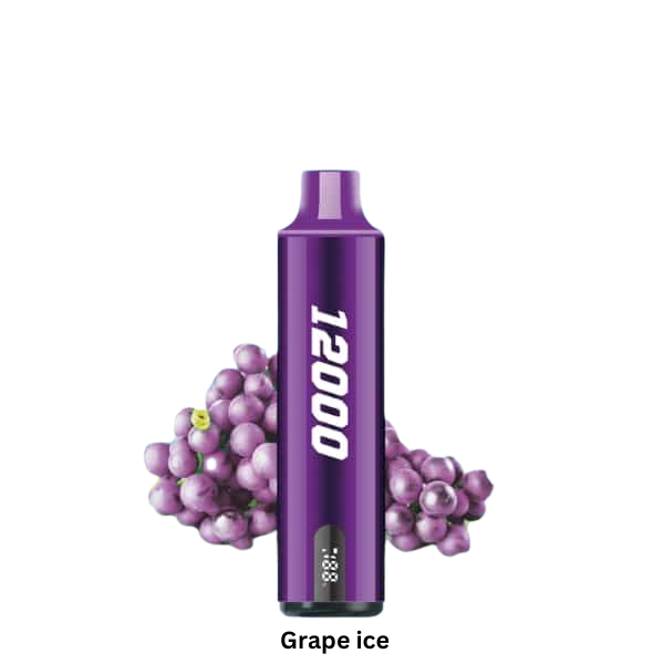 Smooth Whale 12000 Puffs: The Best Diposable Vape in Dubai Grape Ice