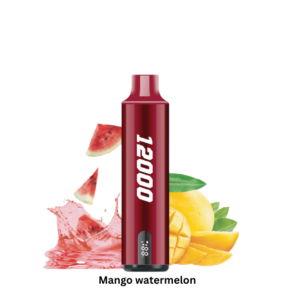 Smooth Whale 12000 Puffs: The Best Diposable Vape in Dubai Mango Watermelon