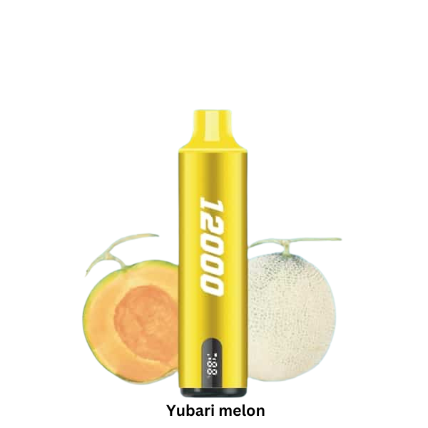 Smooth Whale 12000 Puffs: The Best Diposable Vape in Dubai Yabari Melon