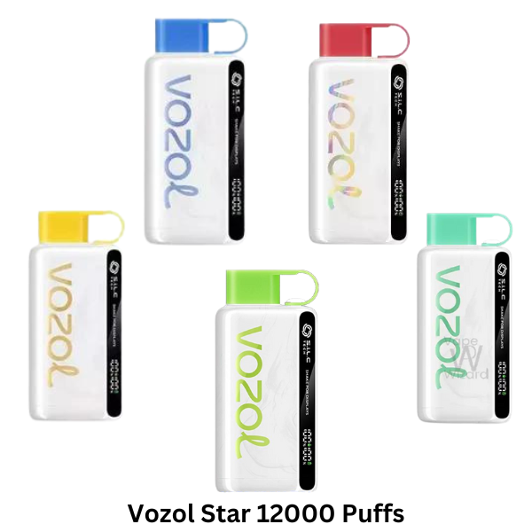 Vozol Star 12000 Puffs : The Best Diposable Vape in Dubai