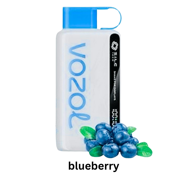 Vozol Star 12000 Puffs : The Best Diposable Vape in Dubai blueberry